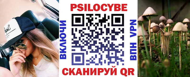 цена наркотик  Будённовск  Псилоцибиновые грибы мицелий 